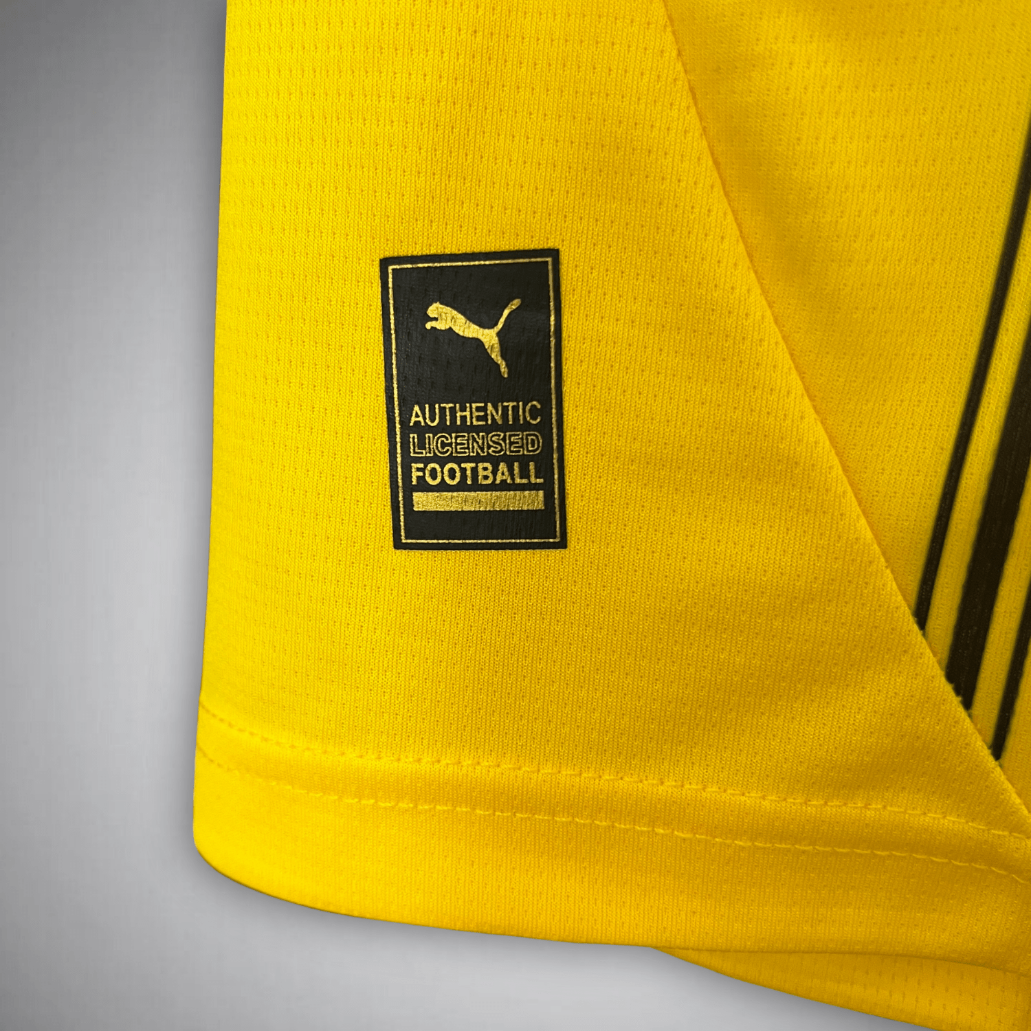 24-25 Borussia Dortmund Jersey Home