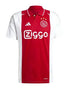 ajax 2024 2025 home Shirt