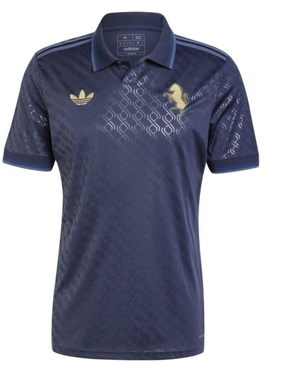 juventus 2024 25 third Shirt